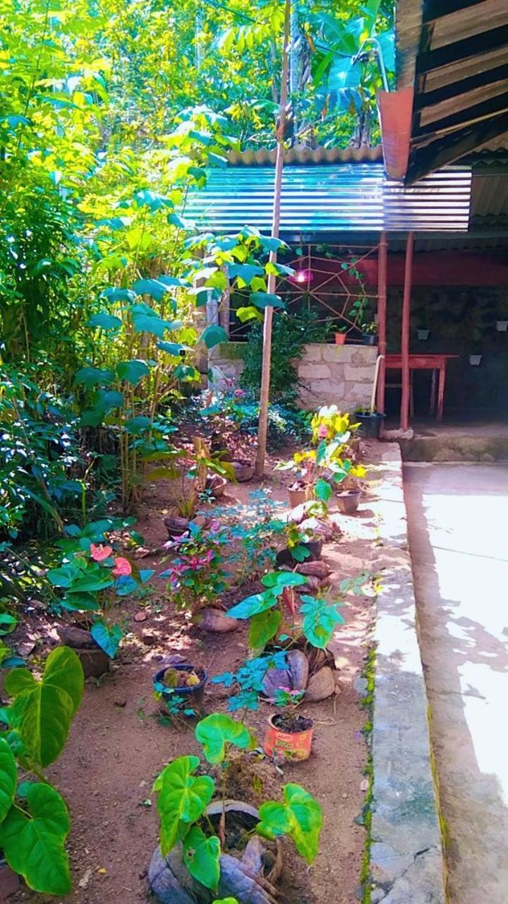 Ella Kumi Hostel 外观 照片