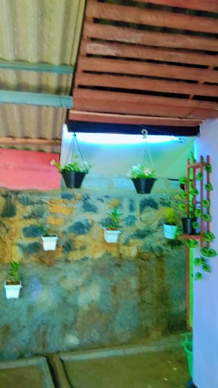 Ella Kumi Hostel 外观 照片
